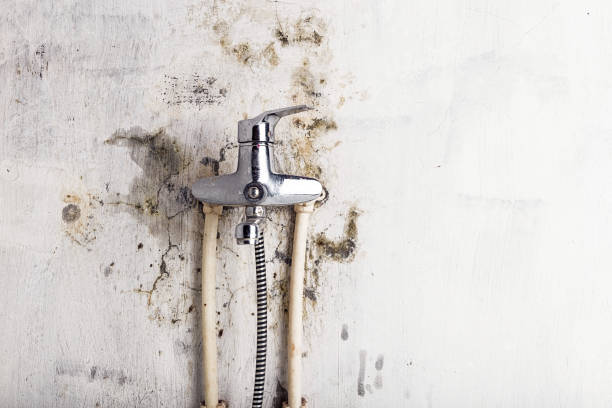 Best Office Mold Removal Services  in Fifth Ward, LA