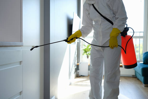 Best Certified Mold Removal  in Fifth Ward, LA