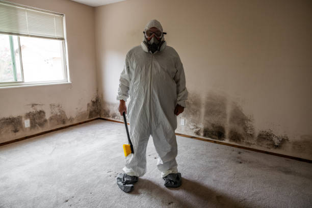 Best Home Mold Removal  in Fifth Ward, LA